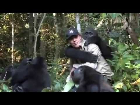 5 Yıl Sonra Sahibini Gören Goril