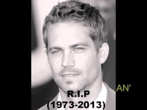PAUL WALKER SE MURIO EN ACCIDENTE DE AUTO ACTOR DE RAPIDO Y FURIOSO 30 11 13