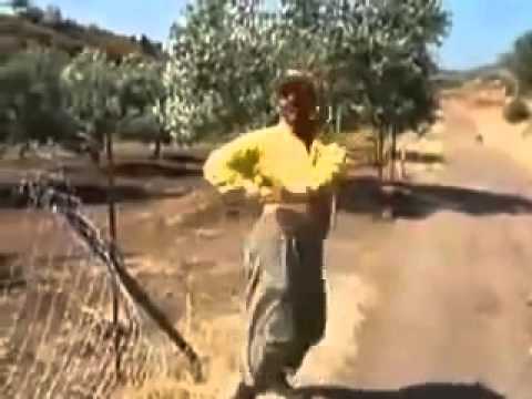 Çılgın Oryantal Dans