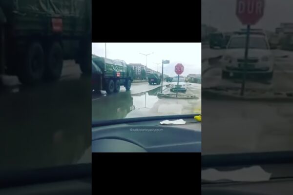 Aslanlar Gidiyor Aslanlar