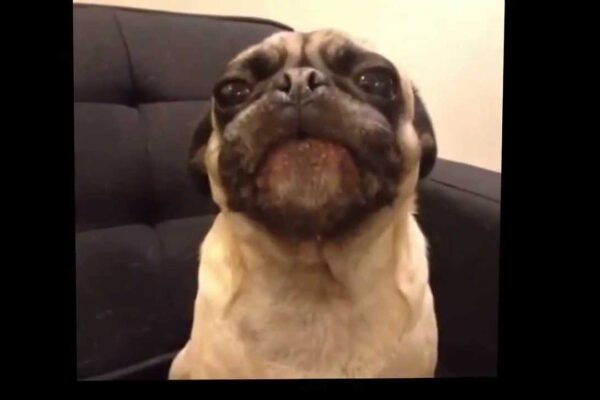 I Ruv You (5MIN VERSION) Vine By: Shellie