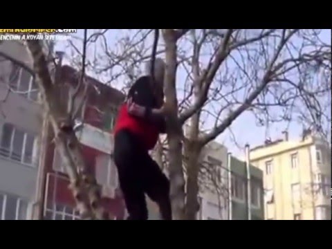 Kediyi Ağaçtan Değil Ağacı Kediden Kurtarma Operasyonu