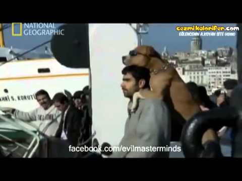 Belgesel Esnasında Objektiflere Yakalanan Karizma İkili